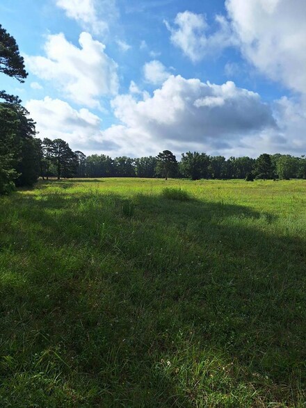 0 Highway 184, Donalds, SC 29638