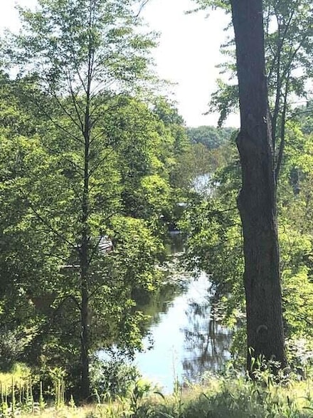 10975 Thornapple Dr, Canadian Lakes, MI 49346