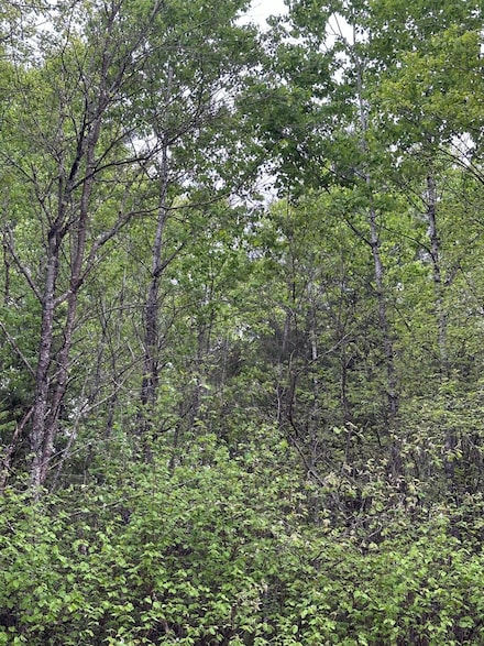 ON Kelly Fire Ln Unit Lot 6, Tomahawk, WI 54487