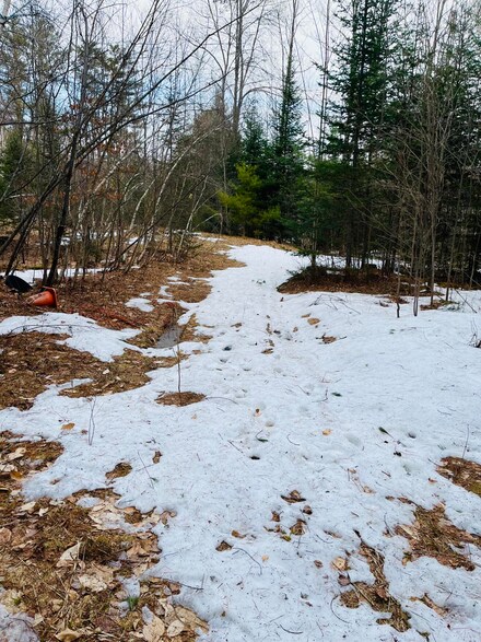101 Collins Rd, Parsonsfield, ME 04047