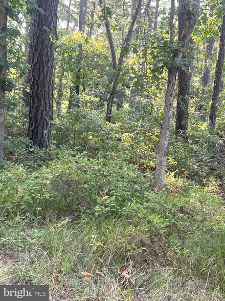 0 Margaret St, Browns Mills, NJ 08015