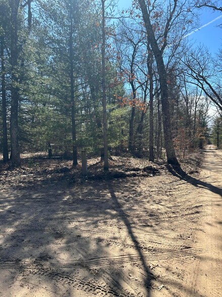0 W V L W Arbutus Way, Baldwin, MI 49304