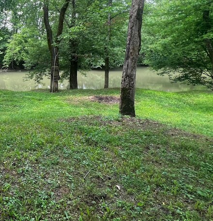 40 Evening Shadow Ln, Jasper, TN 37347