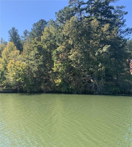 0 Harbour Pointe Dr Unit 7471769, Sparta, GA 31087
