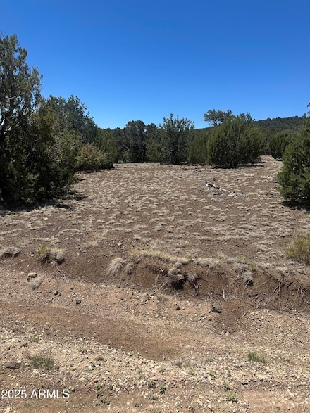 3 Acr 3195 -- Unit 273, Vernon, AZ 85940