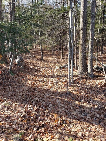 Lot 2-75-4 New Hampshire 45, Temple, NH 03084