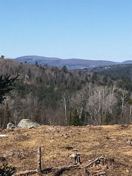 7 Steeple View Dr Unit 7, Bethlehem, NH 03574