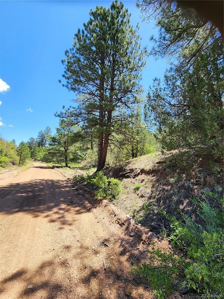 102 Kevin Dr Unit 488, Cotopaxi, CO 81223