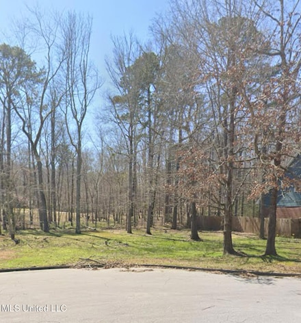 1069 Halton Ct, Brandon, MS 39047