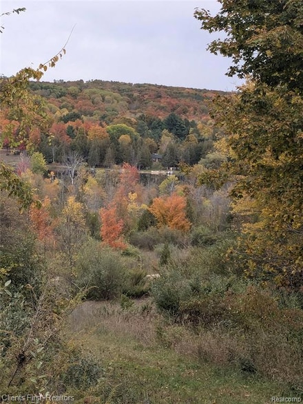 000 Veldkamp Ln, Central Lake Township, MI 49622