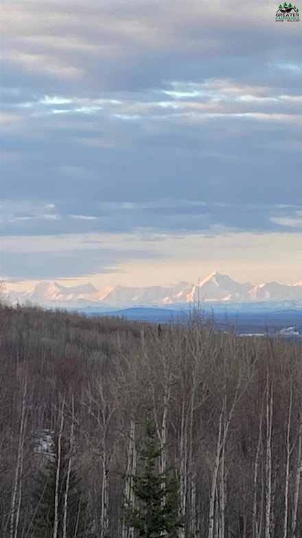 NHN Aspen Heights Dr, Farmers Loop, AK 99712