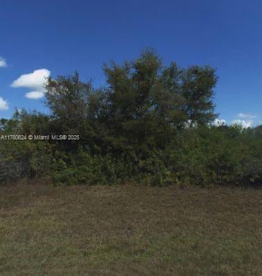 159 Smallwood Rd, Port Charlotte, FL 33974