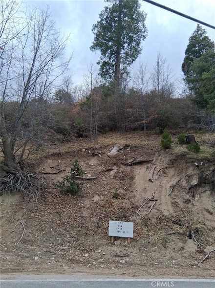 29602 Hook Creek Rd, Cedar Glen, CA 92321