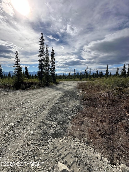 49662 S Timberwolf Rd, Chickaloon, AK 99674