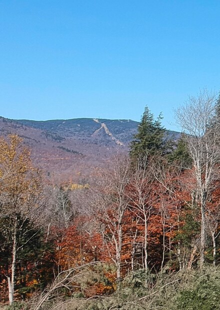 4 Ralph May Rd, Wilmington, VT 05363
