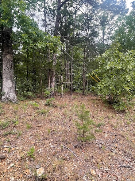 Lot 28 Tulip Trail, Fairfield Bay, AR 72088