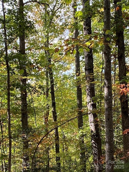 Lot 28 Mentink Way, Dysartsville, NC 28761