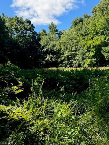 lot NR 15-A-20a Rd, Franktown, VA 23354