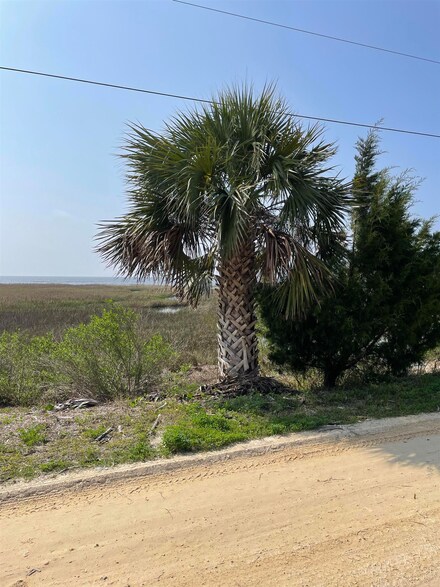 XXX Ezell Beach Rd, Keaton Beach, FL 32348