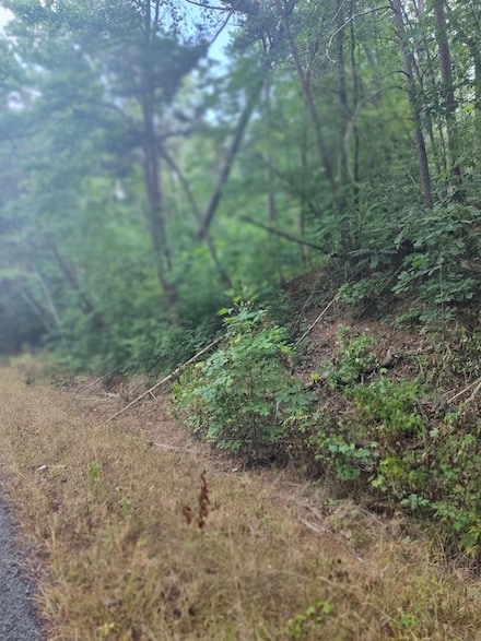 0 Co Rd 127 Unit lot 1 & 2 516524, Bremen, AL 35033