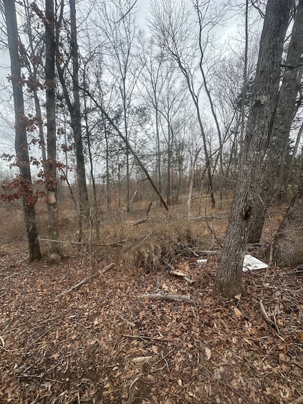 0 Glendale Rd, Adamsville, TN 38310