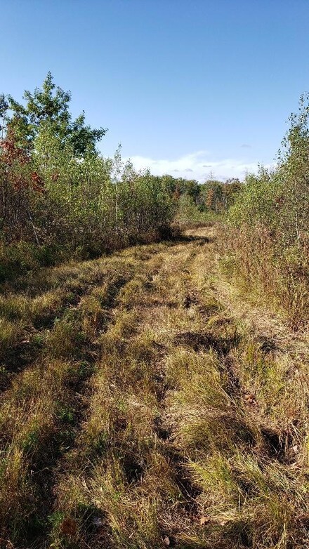 M7 L20 Off Route 150 To Harmony, Athens, ME 04912