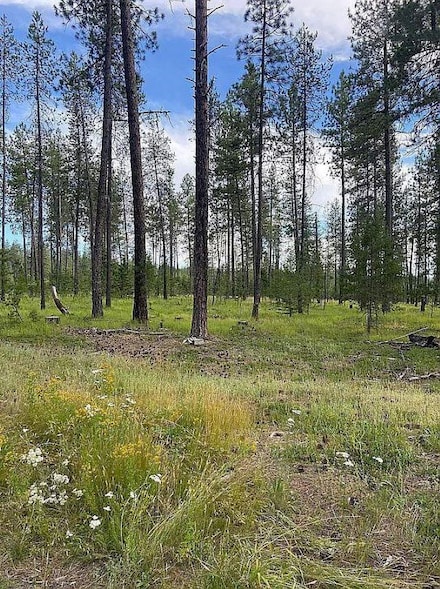 151XX E Oregon Rd Unit Parcel 49111.9068, Elk, WA 99009