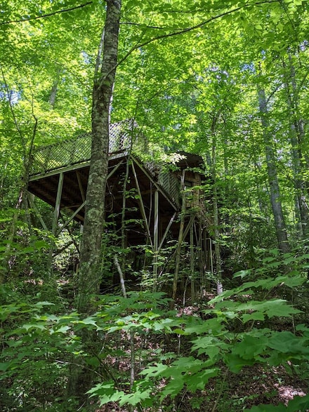 3.38 Long Creek Rd, Robbinsville, NC 28771