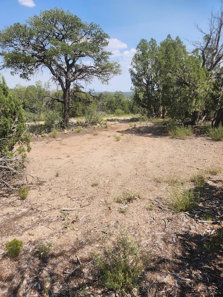 Lot 23a/b Sweetrock Rd, Edgewood, NM 87015