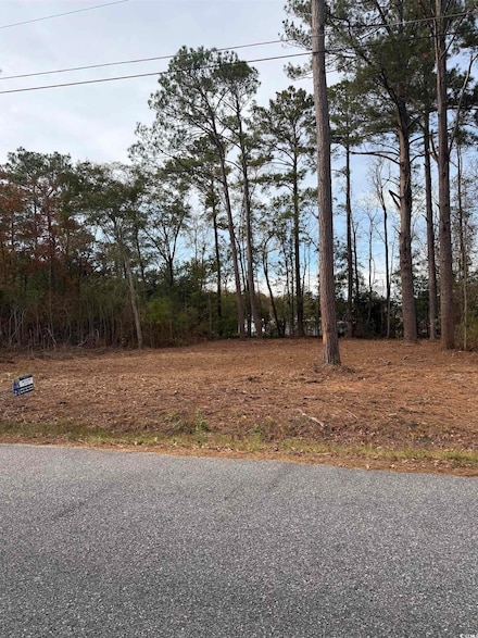 283 Byrnes Cir, Johnsonville, SC 29555