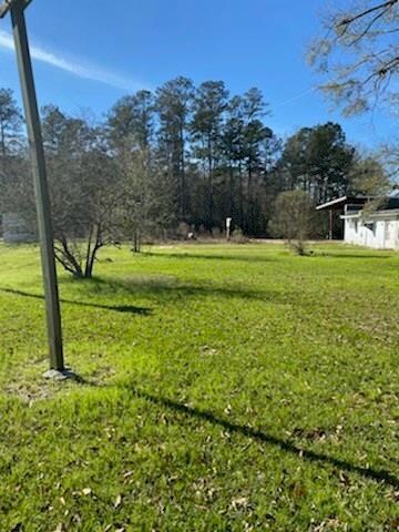 32584 Hwy 43, Independence, LA 70443