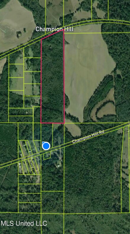 3100 Champion Hill Rd, Edwards, MS 39066
