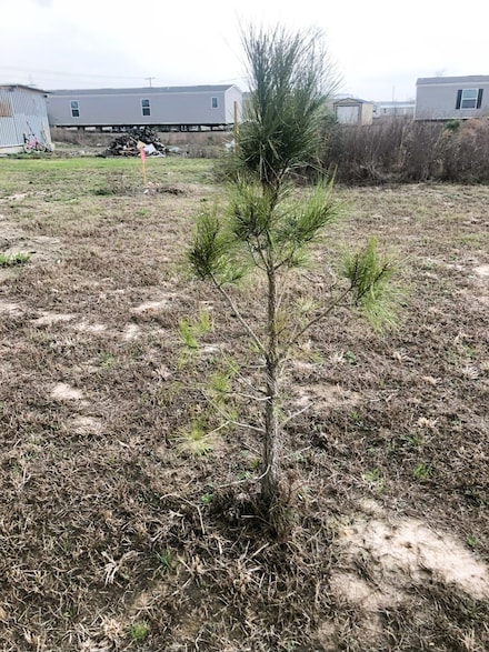 1182 Road 5720, Cleveland, TX 77327