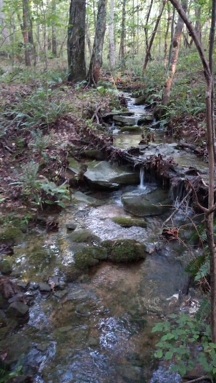 Tract 11 Airport Rd - Piney Creek Acres, Rockwood, TN 37854