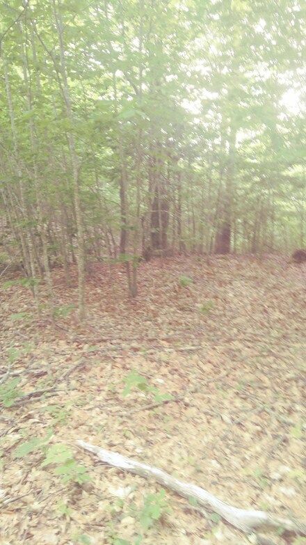 00 Peasetown Rd, Hope, ME 04847