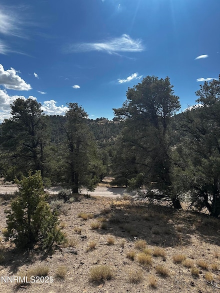 2000 Scorpion Rd, Reno, NV 89521