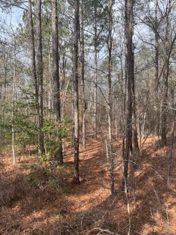 0 Centralia Rachels Rd, Warthen, GA 31094