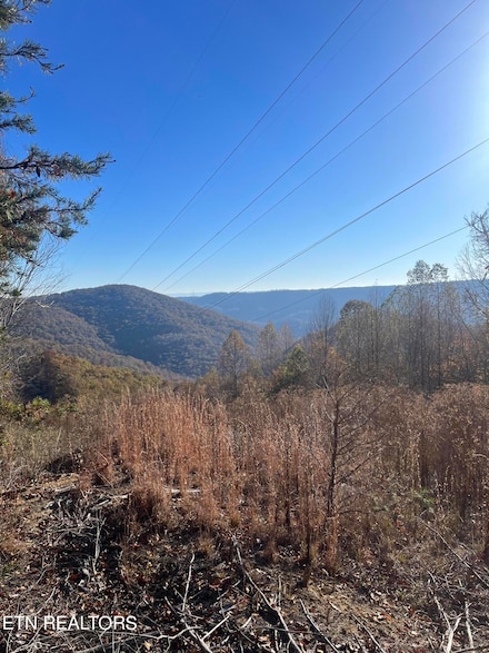 0 Hatfield Creek Rd, Newcomb, TN 37819