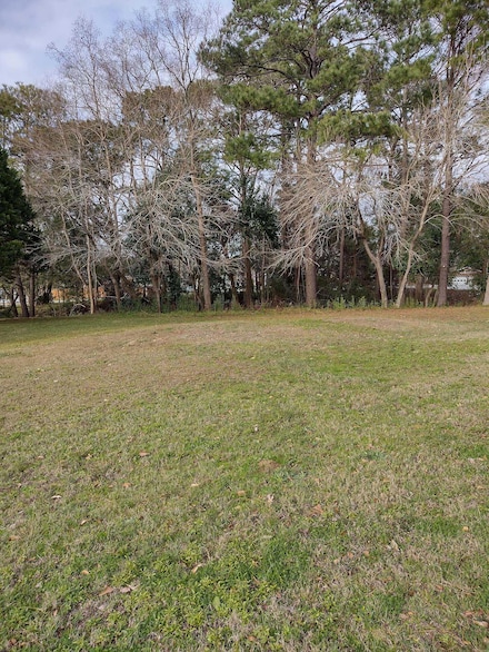 0 N Rhett Ave Unit 25009377, Hanahan, SC 29410