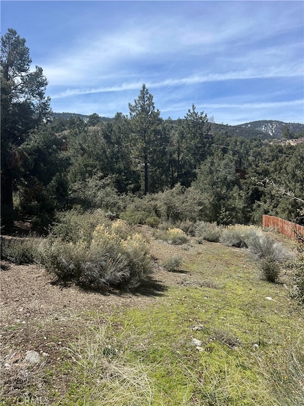 2029 Zermatt Dr, Pine Mountain Club, CA 93222