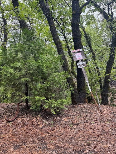 0 Wildcat Ridge Rd, Sonora, CA 95370