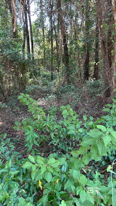 0 Sandy Shoal Loop, Fairhope, AL 36532