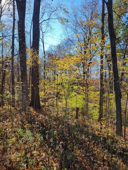 00 Valley Dr, Greencastle, IN 46135