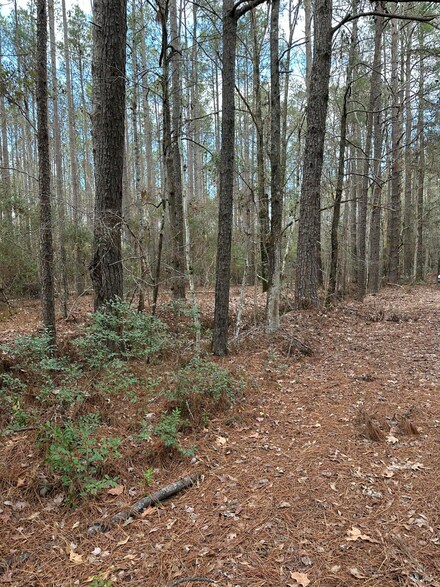 00 Cummings Chapel Rd, Ridgeville, SC 29472