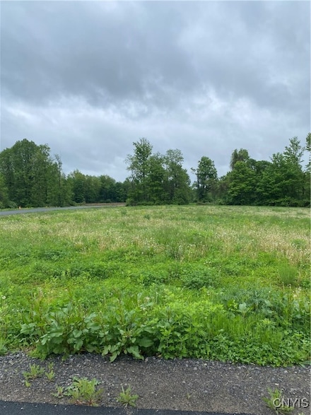0 Seymour Ln, Westmoreland, NY 13490