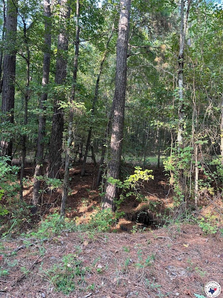 TBD County Road 2514, Naples, TX 75568