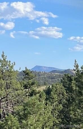 000 Hiawatha Cir, Hartsel, CO 80449