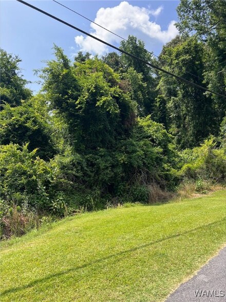 0 Northwood Lake Dr W, Northport, AL 35473