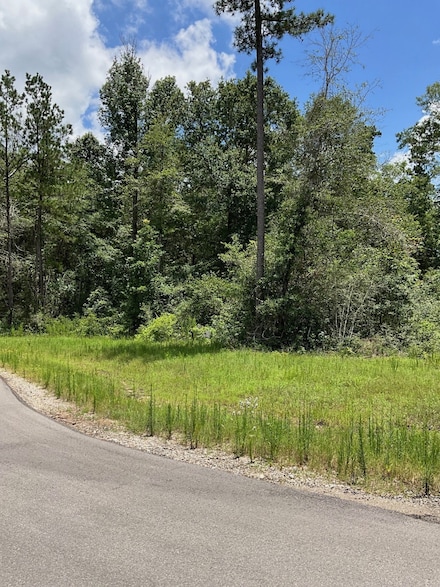 386 Iron Horse Rd, New Waverly, TX 77358