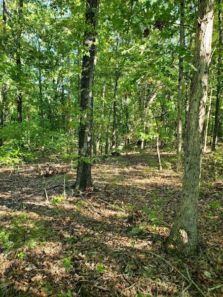 000 Highway 76, Cassville, MO 65625